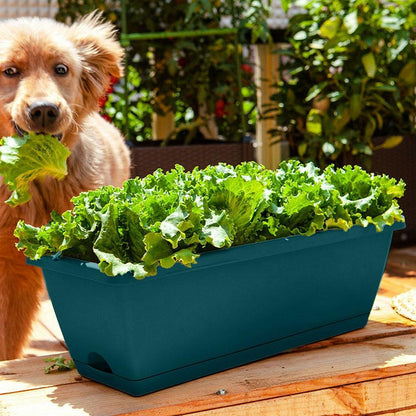 Jardinière en Plastique Classique