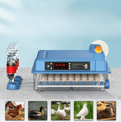 Couveuse Automatique Professionnelle Poulailler