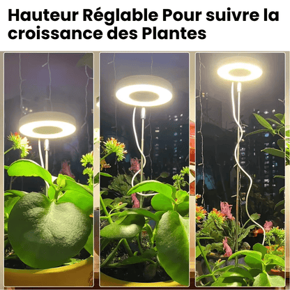 Lampe de Croissance LED d'Intérieur (Lot de 2+1 Offerte)