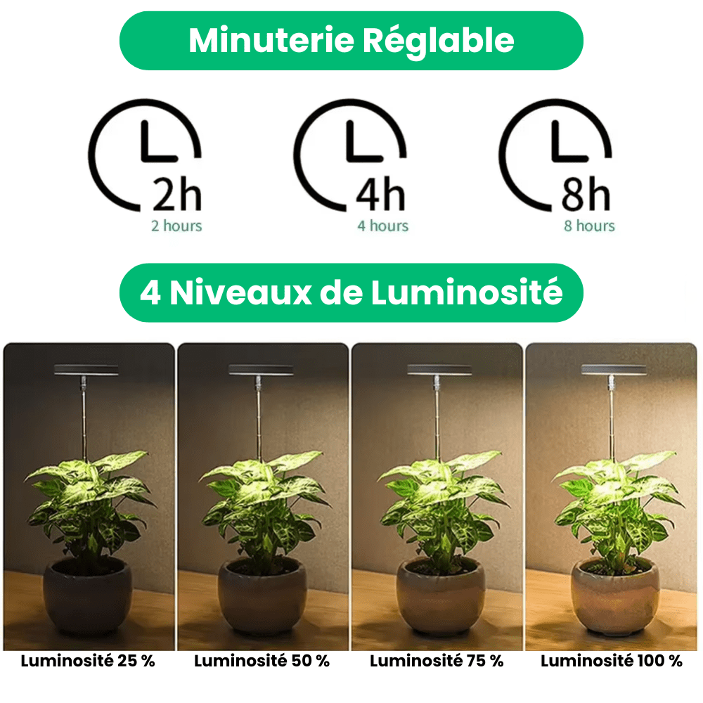 Lampe de Croissance LED d'Intérieur (Lot de 2+1 Offerte)