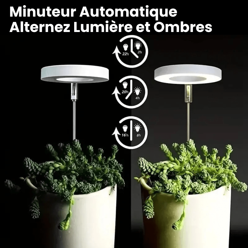 Lampe de Croissance LED d'Intérieur (Lot de 2+1 Offerte)