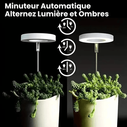 Lampe de Croissance LED d'Intérieur (Lot de 2+1 Offerte)