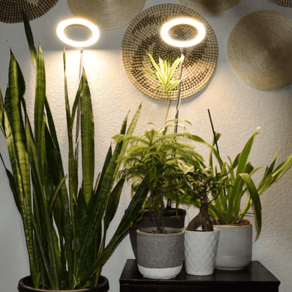 Lampe de Croissance LED d'Intérieur (Lot de 2+1 Offerte)