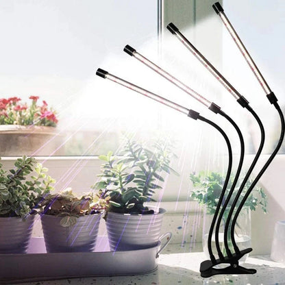 Lampe de Croissance Performante pour Plantes d'Intérieur