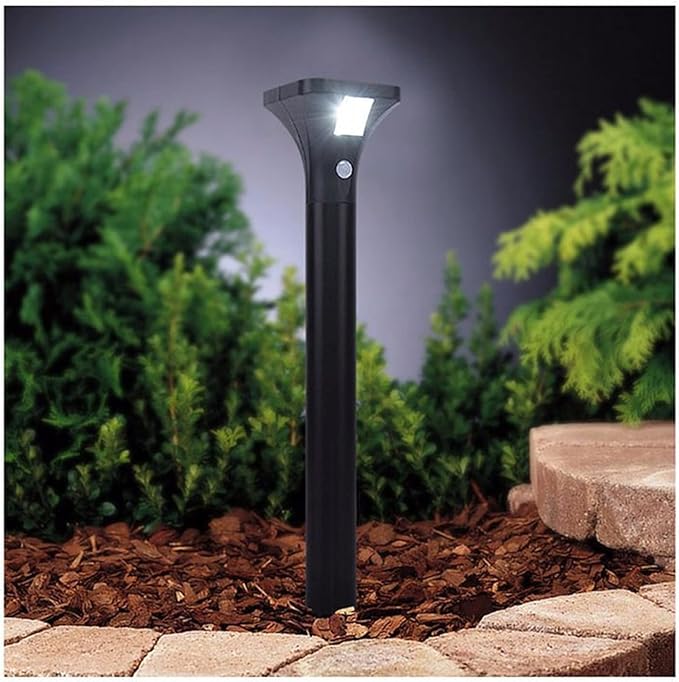 Lampe Solaire LED Sensorielle Intelligente