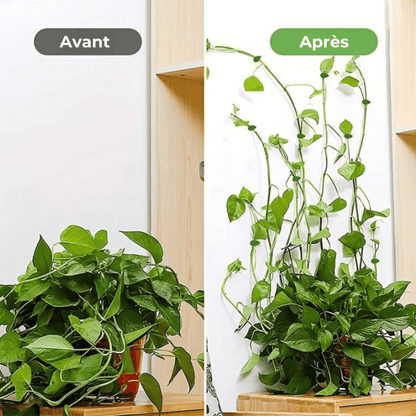Supports Muraux Décoratifs pour Plantes