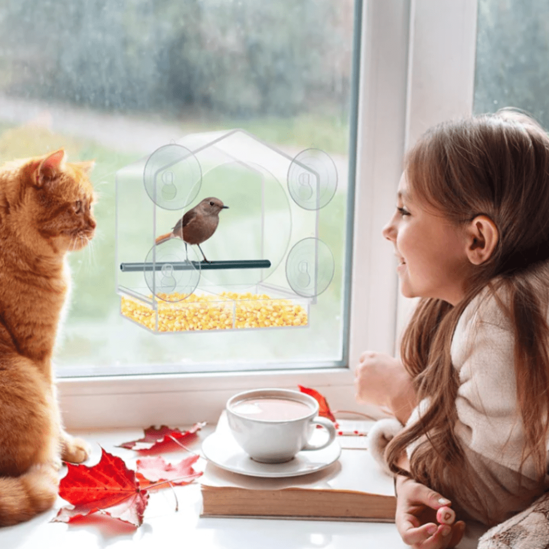 Mangeoire à Oiseaux Premium pour Fenêtres