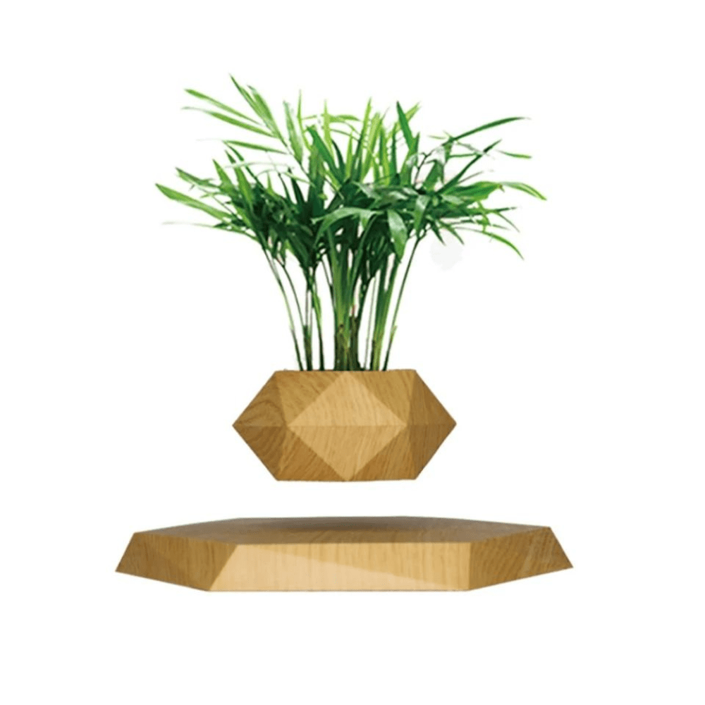 Vase Flottant Magique Original et Innovant