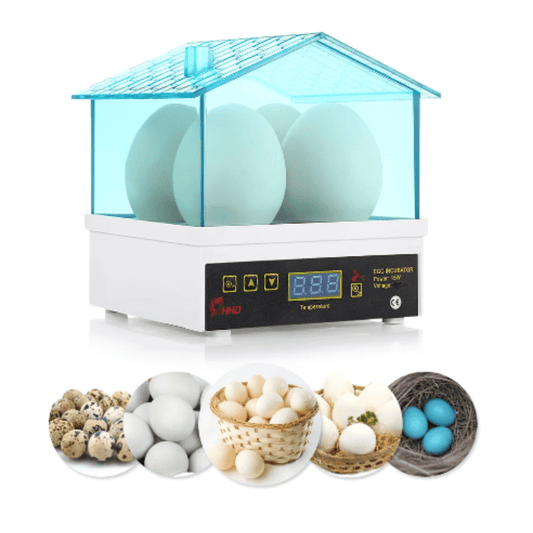Mini Incubateur d'Œufs Automatique Performant