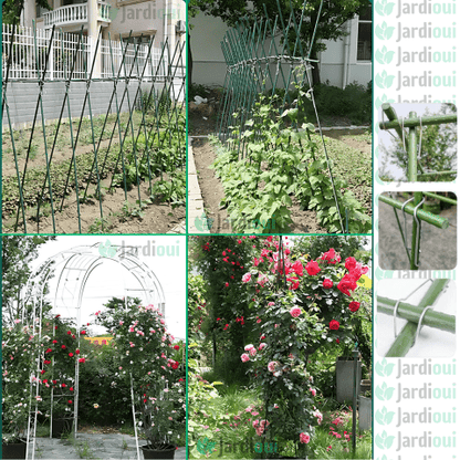 Pack Boucles de Connexion pour Plantes Ultra-Résistant