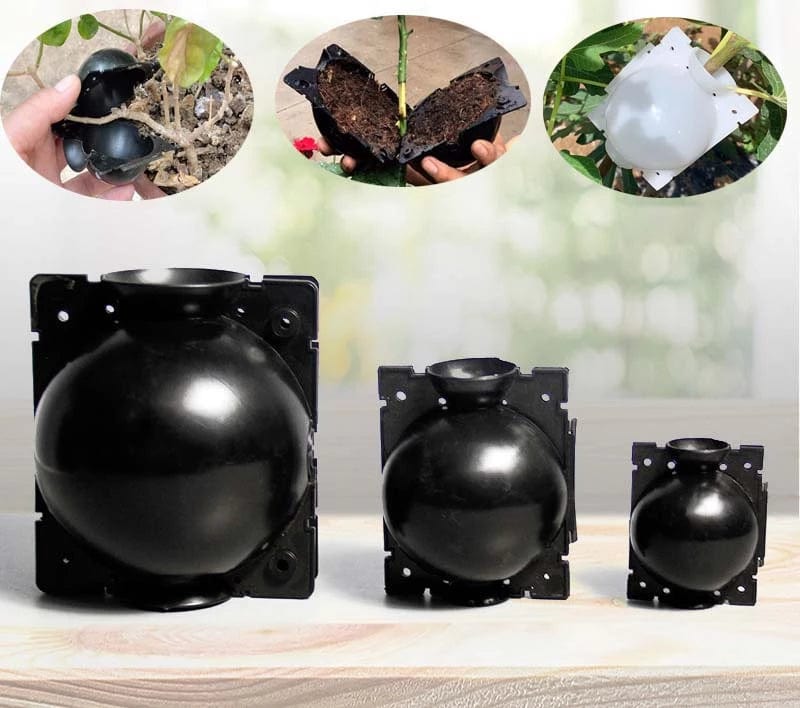 Boules d'enracinement de plantes (lot de 5)