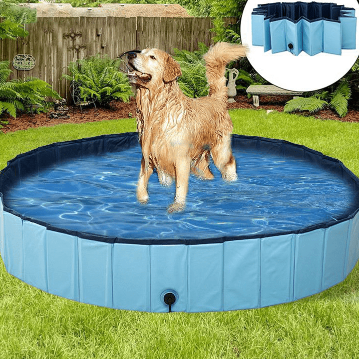 Piscine pliable pour Chiens