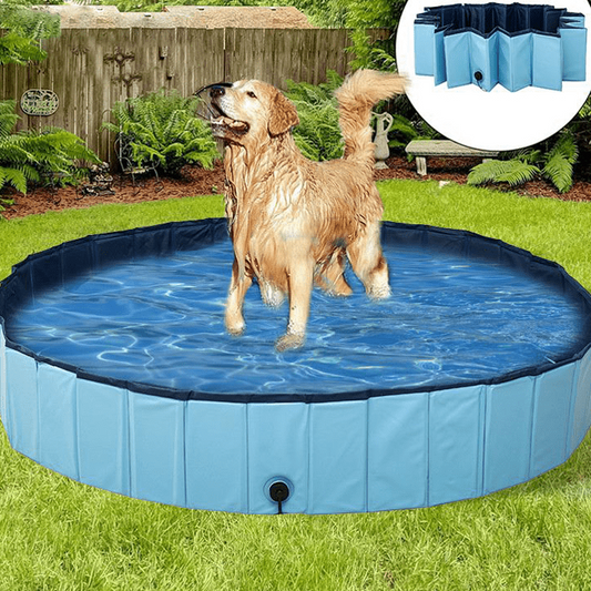 Piscine pliable pour Chiens