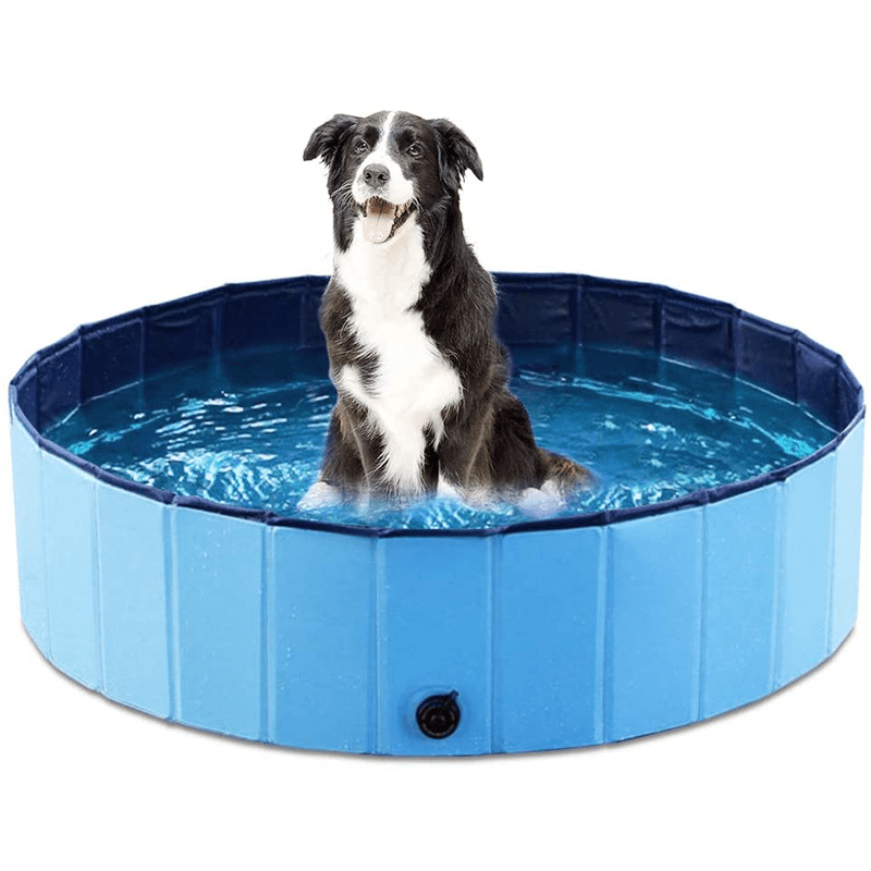 Piscine pliable pour Chiens