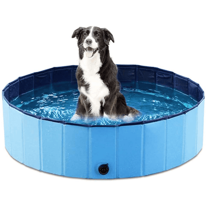 Piscine pliable pour Chiens