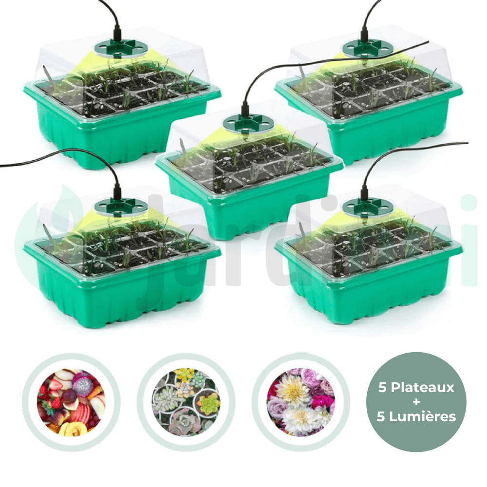 Plateau de culture avec lumière de croissance (Lot de 5)