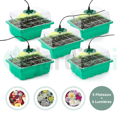 Plateau de culture avec lumière de croissance (Lot de 5)