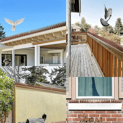 Pointes Barrière Anti-Oiseaux Ultra-Efficace