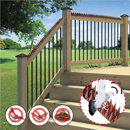 Pointes Barrière Anti-Oiseaux Ultra-Efficace