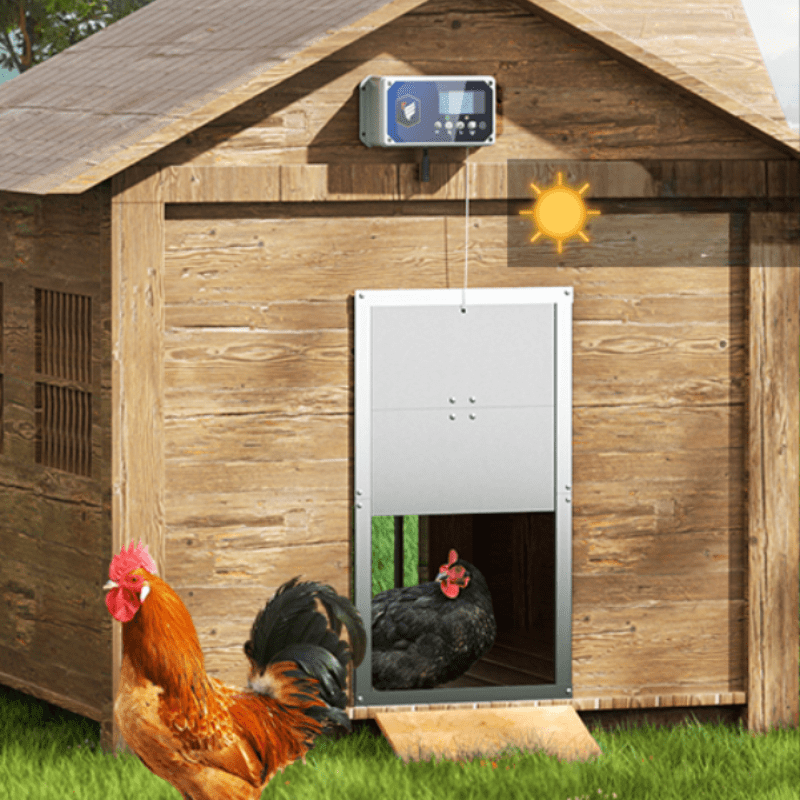 Porte Automatique Professionnelle pour Poulailler