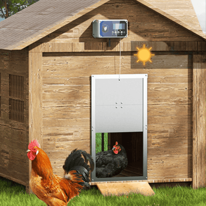 Porte Automatique Professionnelle pour Poulailler