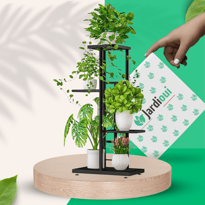 Porte Plante intérieur multi-niveaux