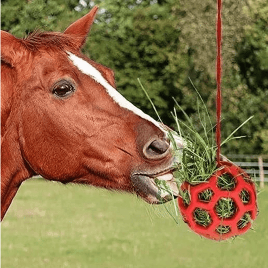 Balle Mangeoire Universelle pour Animaux