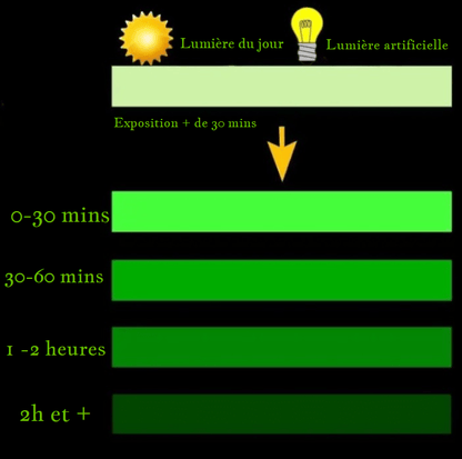 Ruban Brillant Enchanteur (Lot de 2 + 1 offert)
