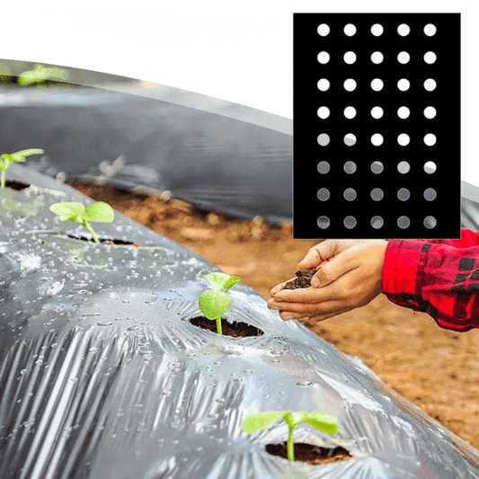 Tissu de Barrière de Paysage Perforé Robuste