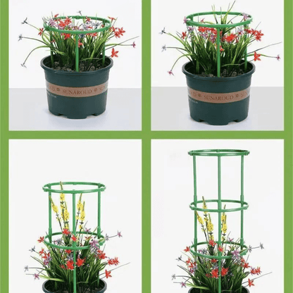 Tuteur Plante Grimpante Circulaire Harmonieux