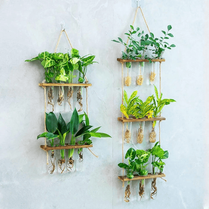 Jardin Mural Hydroponique à Double Étage Élégant