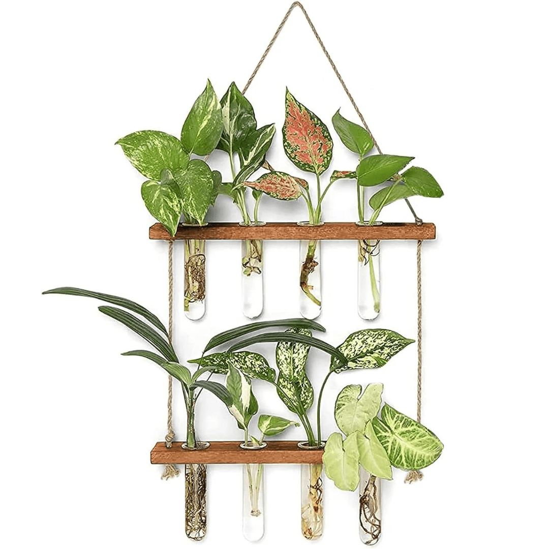 Jardin Mural Hydroponique à Double Étage Élégant