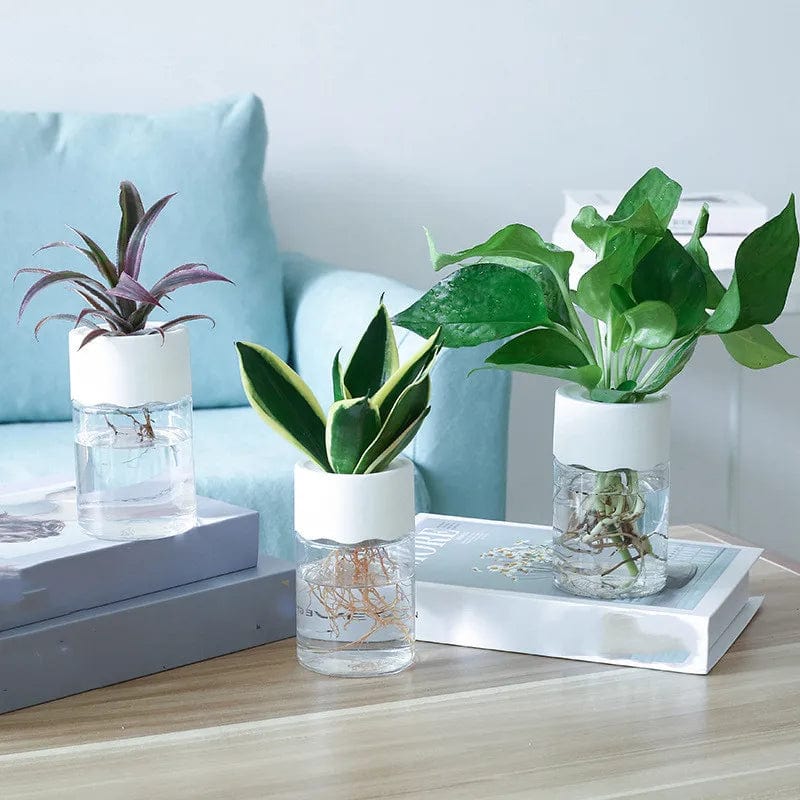 Vase en plastique hydroponique Minimalistes