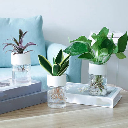 Vase en plastique hydroponique Minimalistes