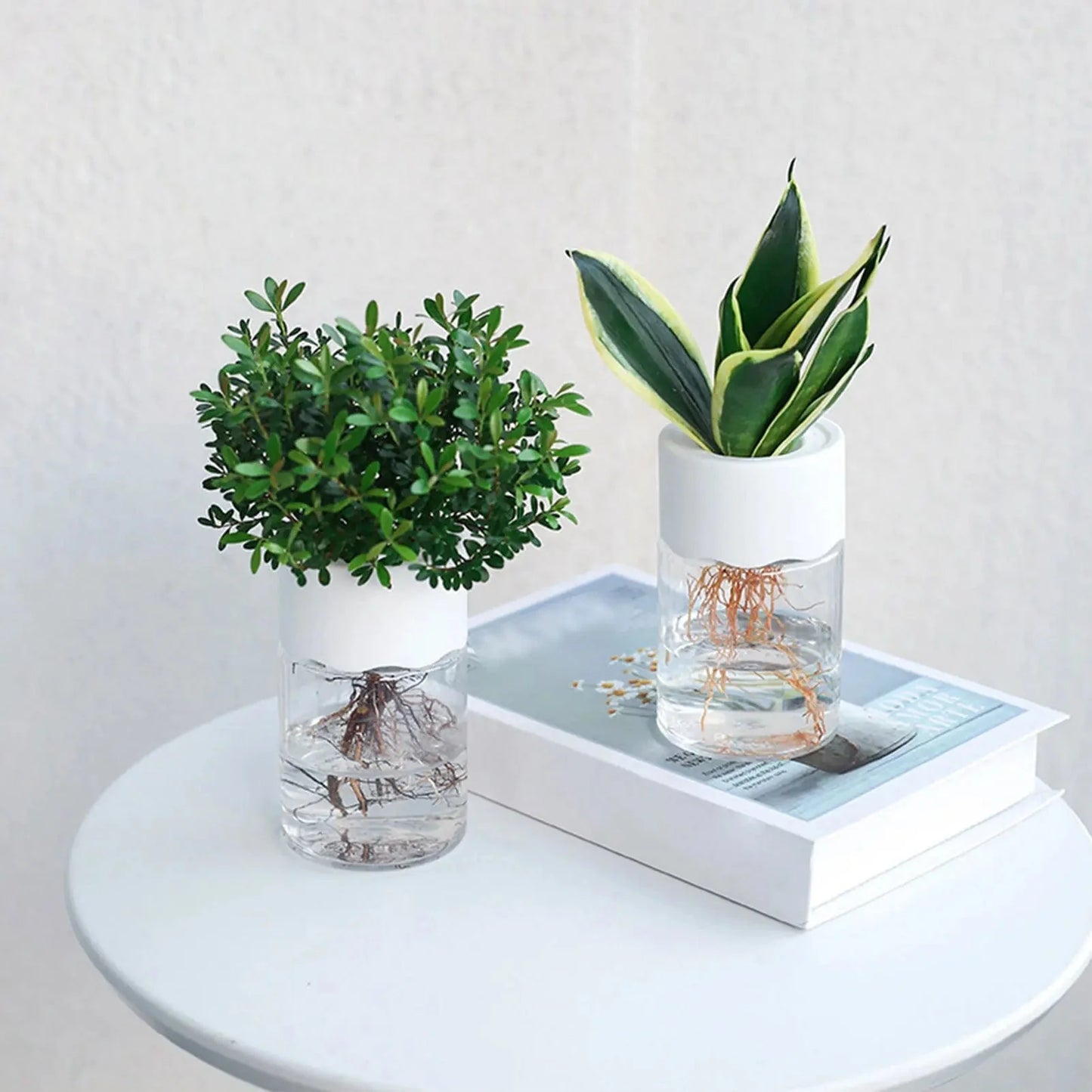 Vase en plastique hydroponique Minimalistes