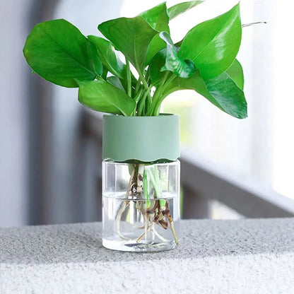 Vase en plastique hydroponique Minimalistes