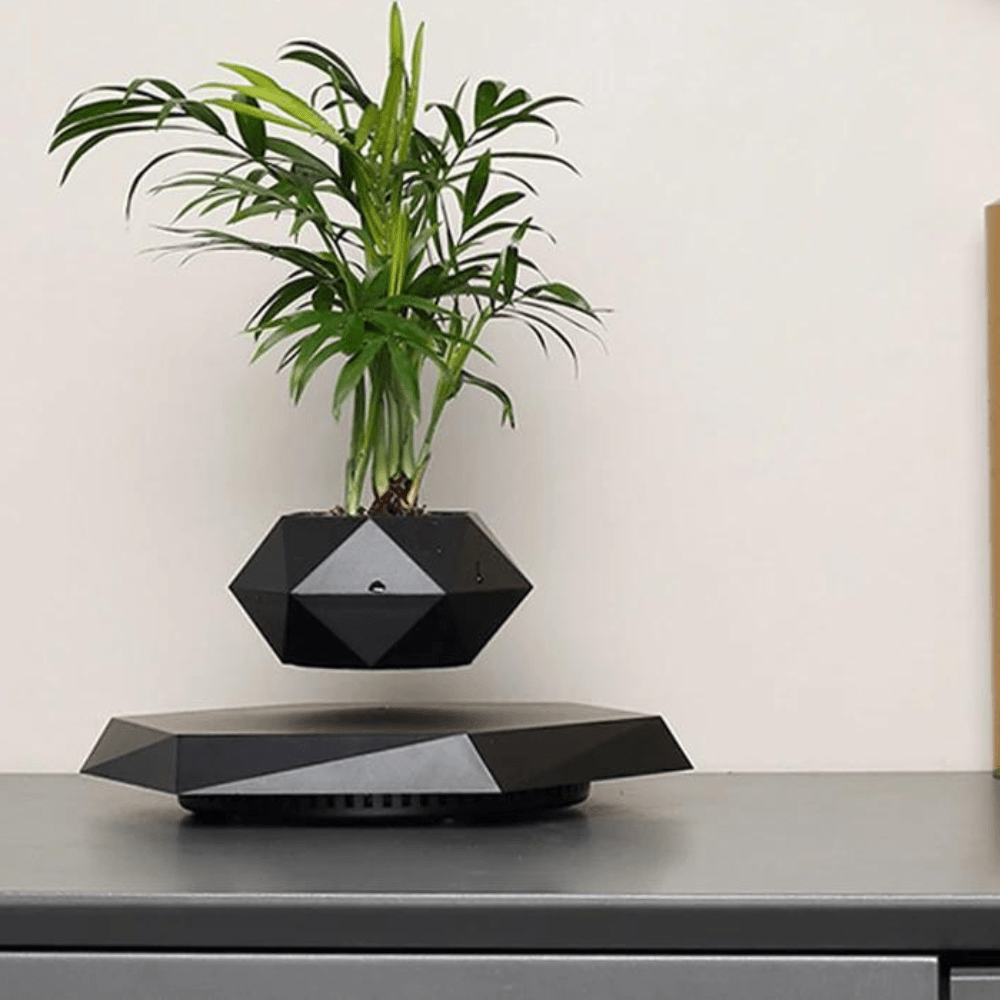 Vase Flottant Magique Original et Innovant