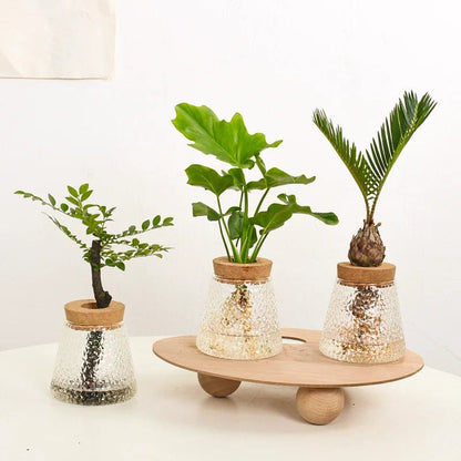 Vase Volcanique Hydroponique Artistique