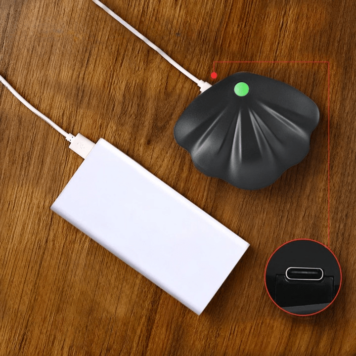 Veilleuse Coquillage Rechargeable et Innovante