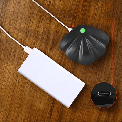 Veilleuse Coquillage Rechargeable et Innovante