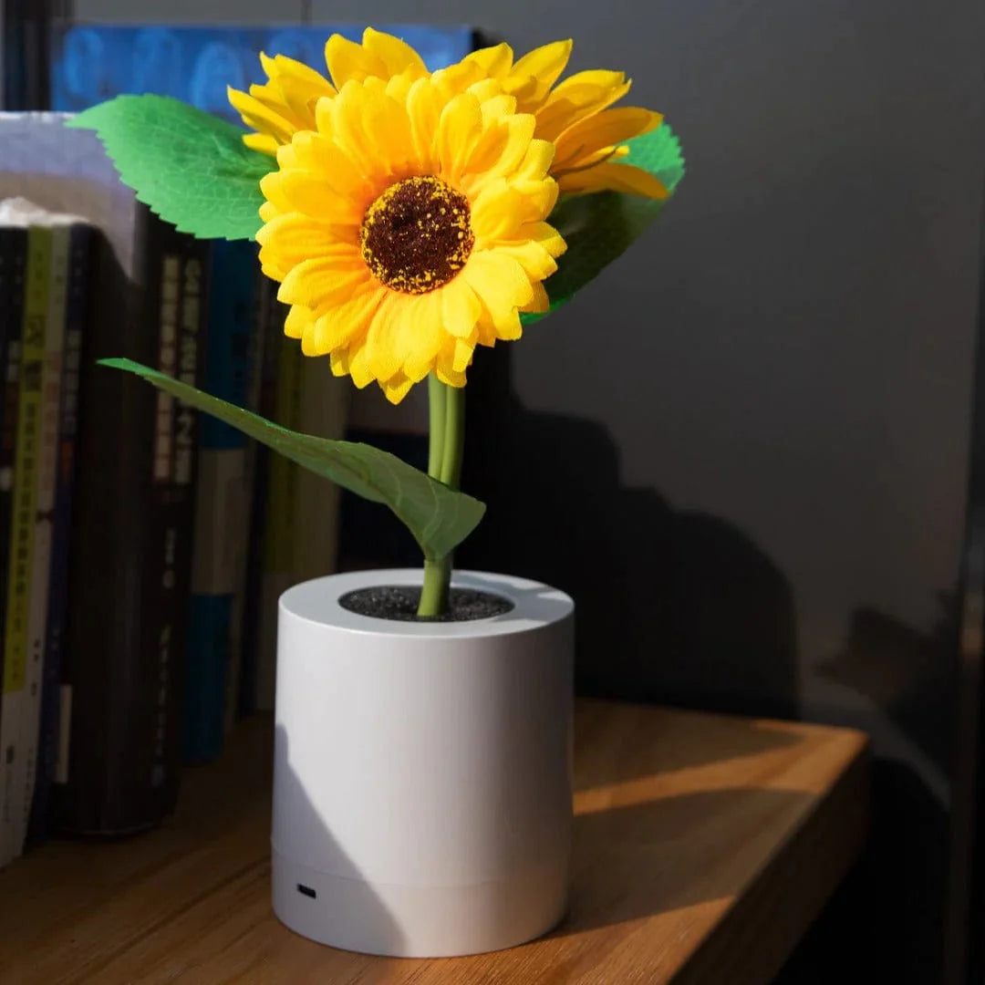 Veilleuse Tournesol Esthétique Rayonnante
