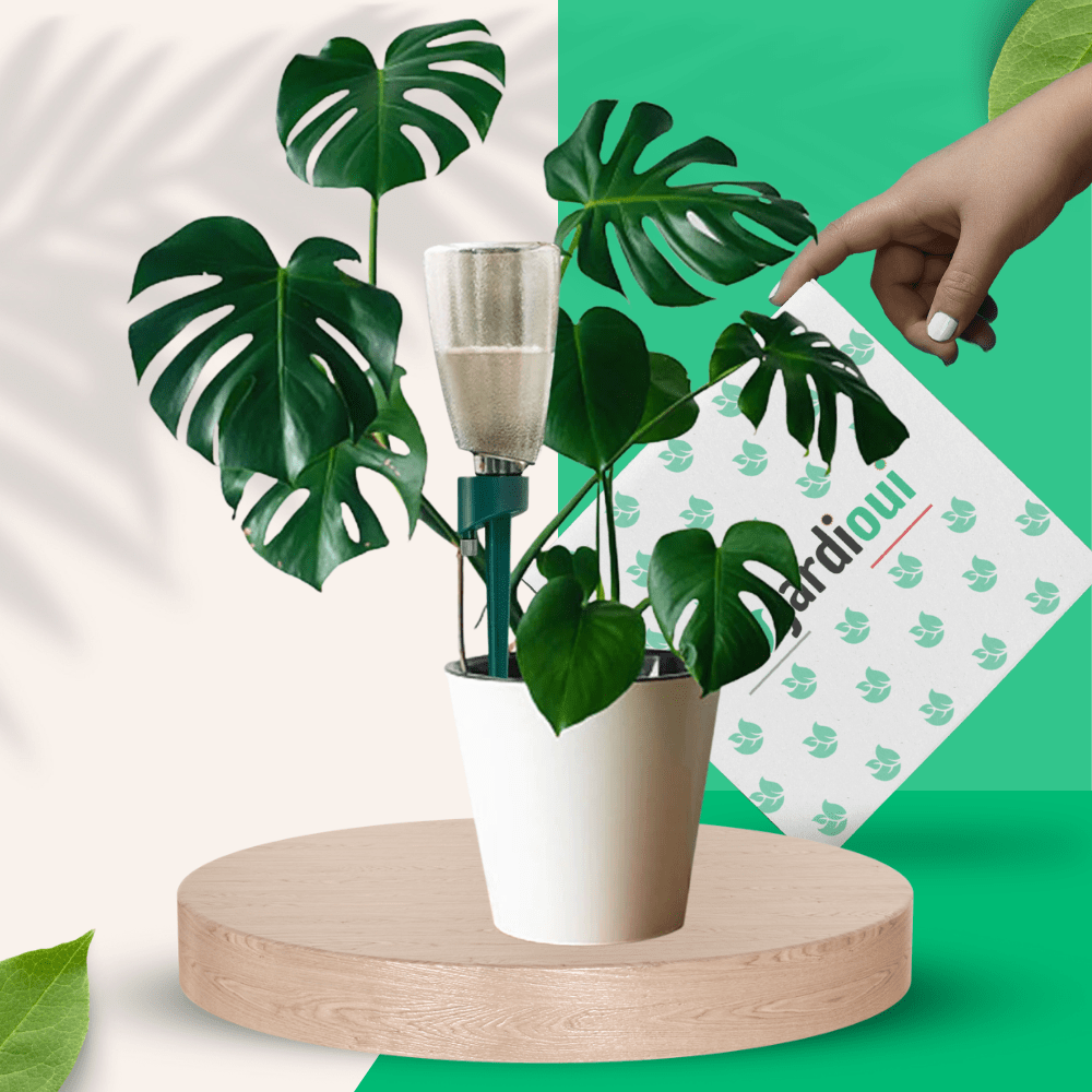 Système d'Arrosage Automatique Révolutionnaire (Lot de 3 + Bouteilles Offertes)